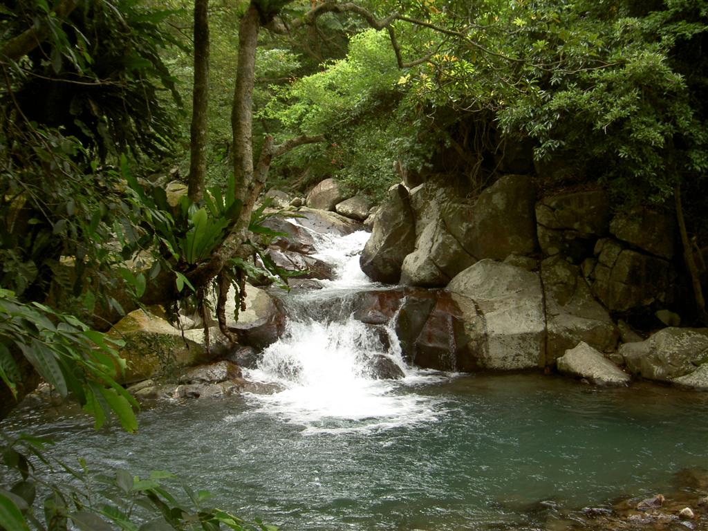 Ch'ingshan Waterfall060925Eric_20 (Large)